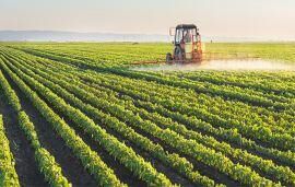 Some pesticides can not be used in scorching weather