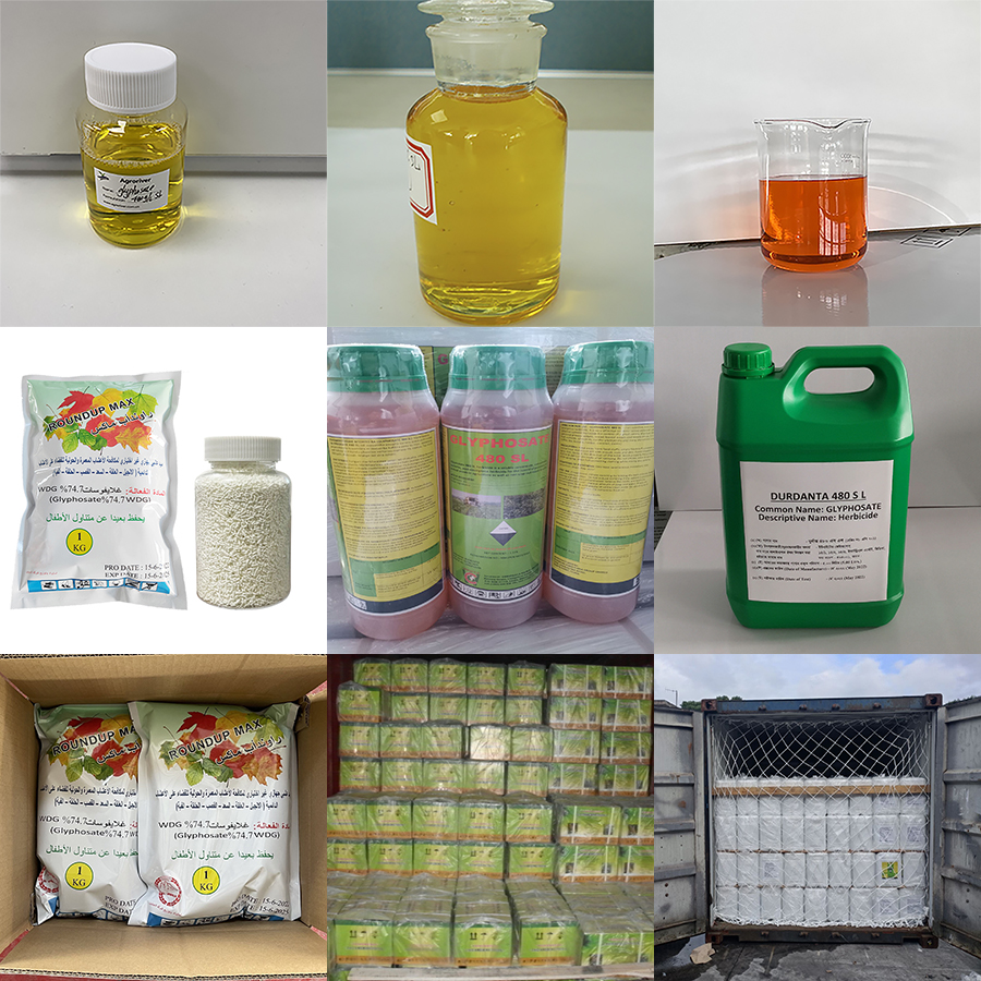 Mode of action and development of glyphosate