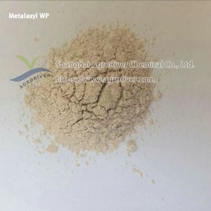 Metalxyl 25%WP Fungicide